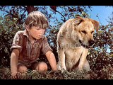 Old Yeller (1957)  Part 2 Freddy Part 1 of 13 Stream