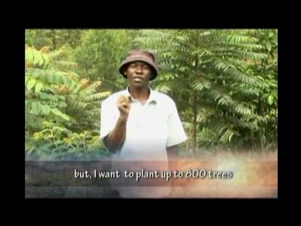 Fighting Poverty One Ton of Carbon at a Time