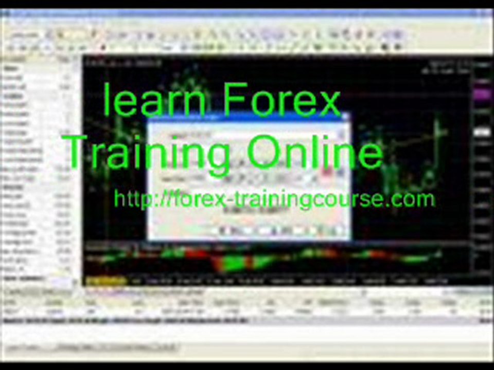 Forex Training Course5