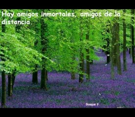 Video 124 EL SECRETO de La Ley de La Atraccion