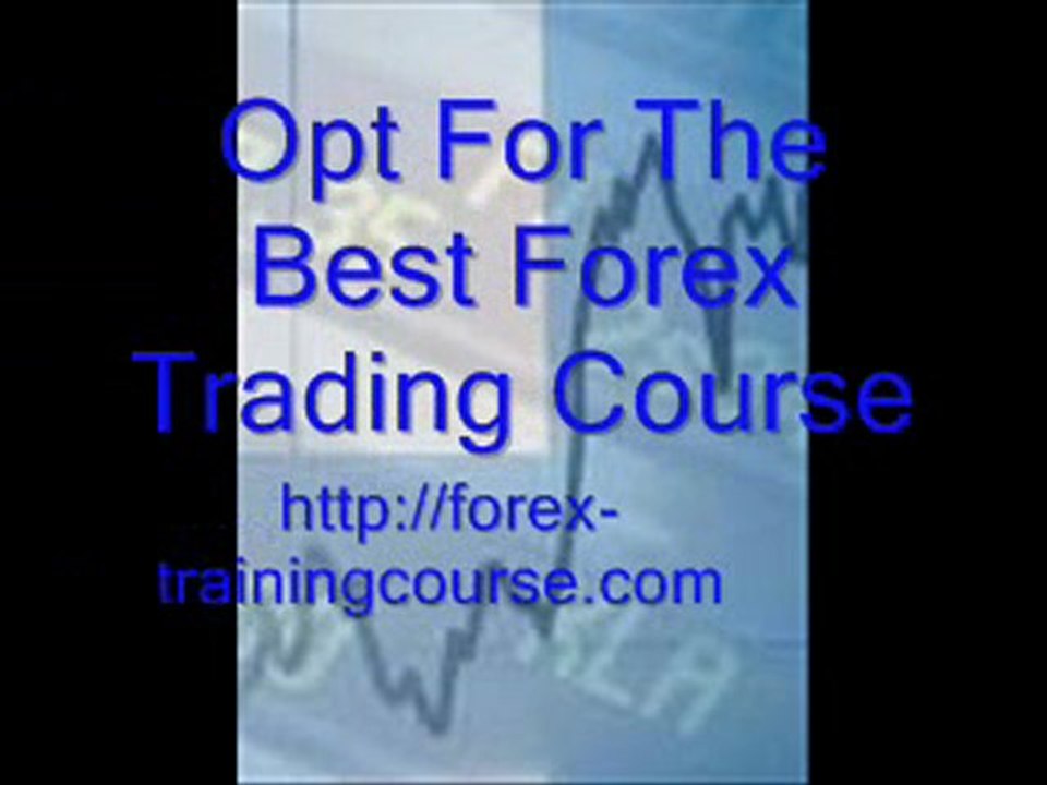 Forex Training Course11