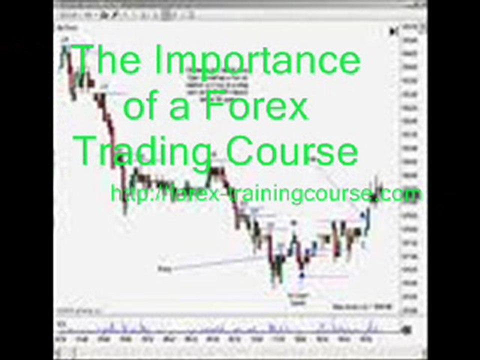 Forex Training Course17