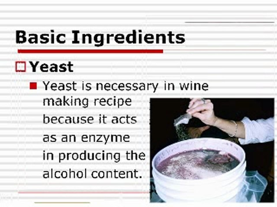 Wine Making Recipes