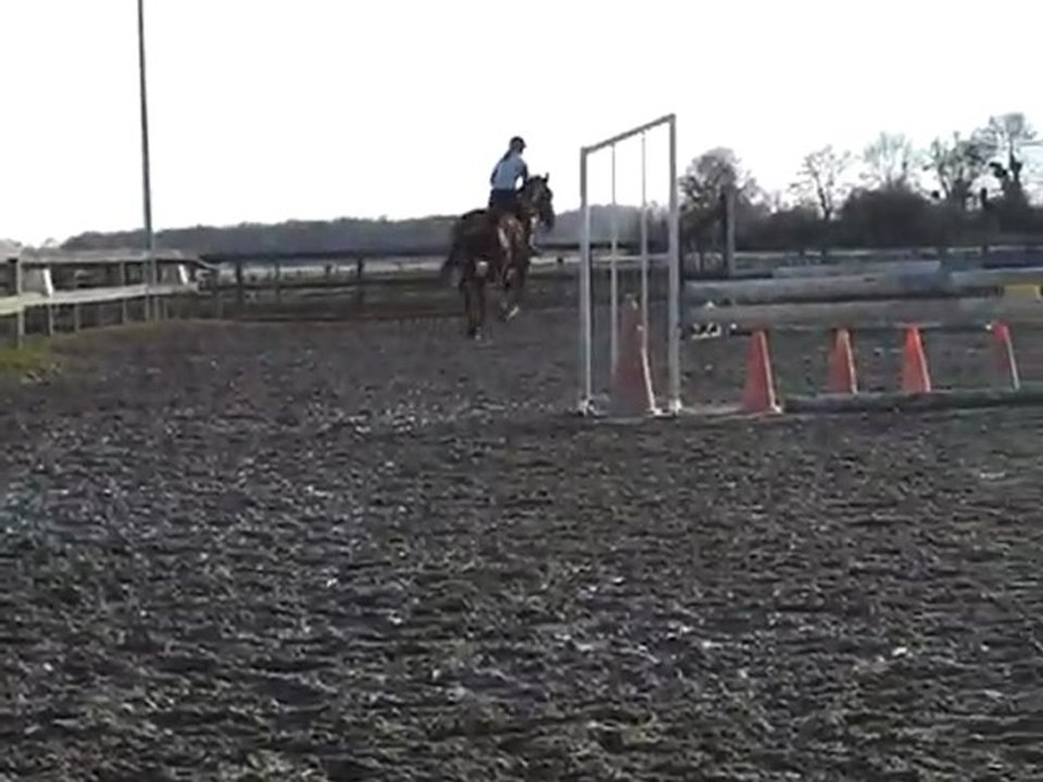 Sophora 19/02/2010 saut