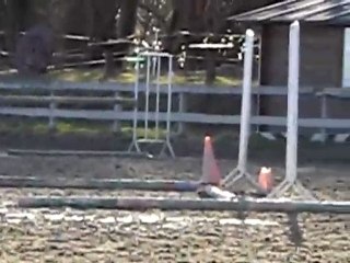 Sophora 19/02/2010 saut 2