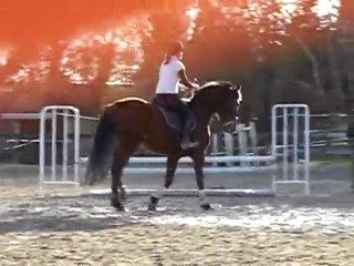 Sophora 19/02/2010 saut 3