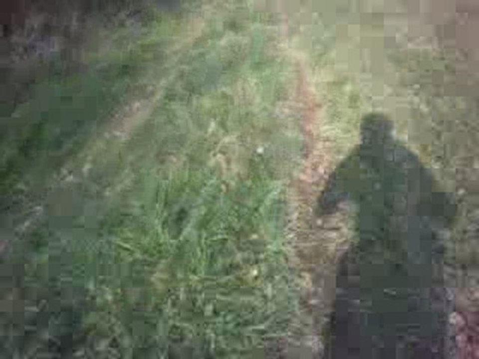 Circuit VTT Estillac