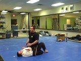 Mount & Kimora Reversal, MMA, Mixed Martial Arts