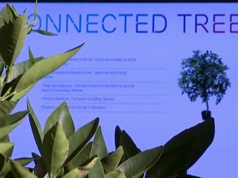 iePlexus Social Media News Brief: February 19, 2010