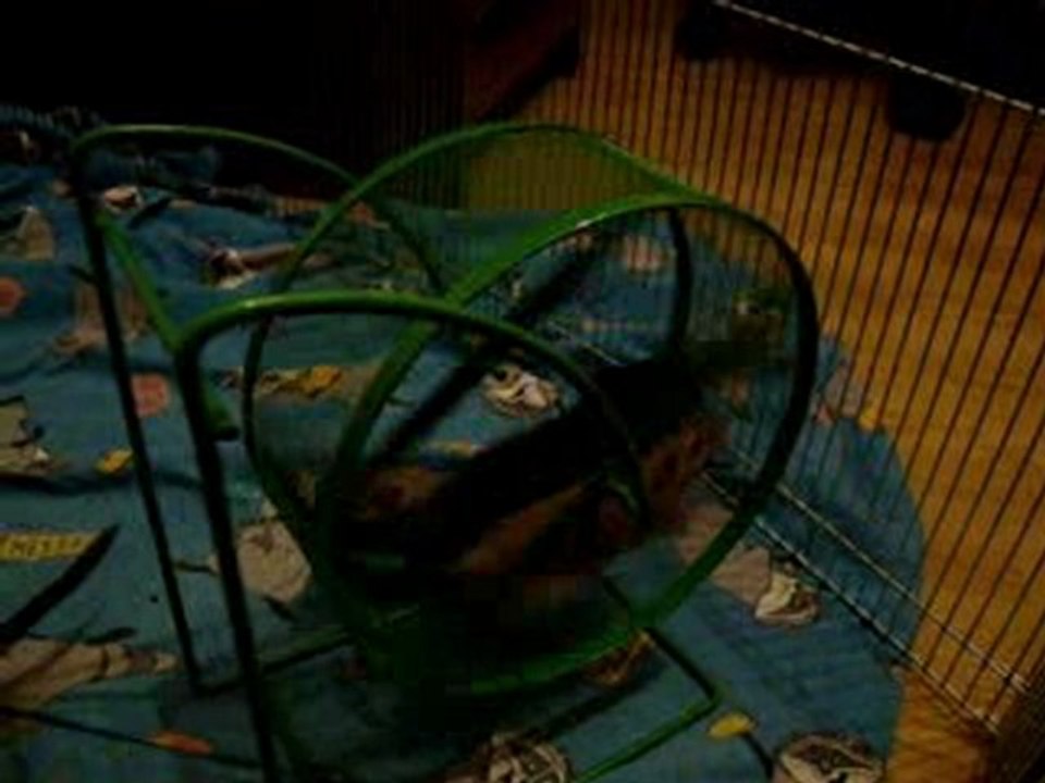 18 02 10 - Les petits nés le 1er Janvier 2010