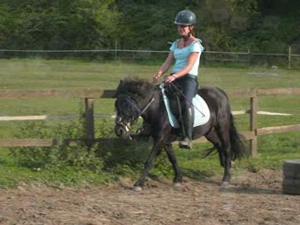 les écuries de laroches