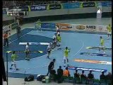 ALG-EGY 1/2 final CAN  handball 2010 (2)