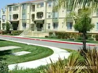Bella Villagio Apartment Homes in San Jose, CA-ForRent.com
