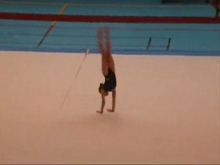 romane saviny le temple 2010