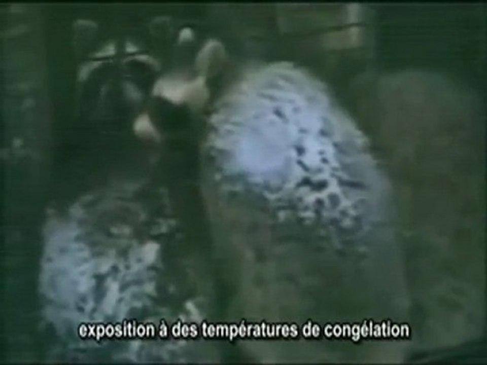 Phase 3 - episode 16 - Meurtre a la mode