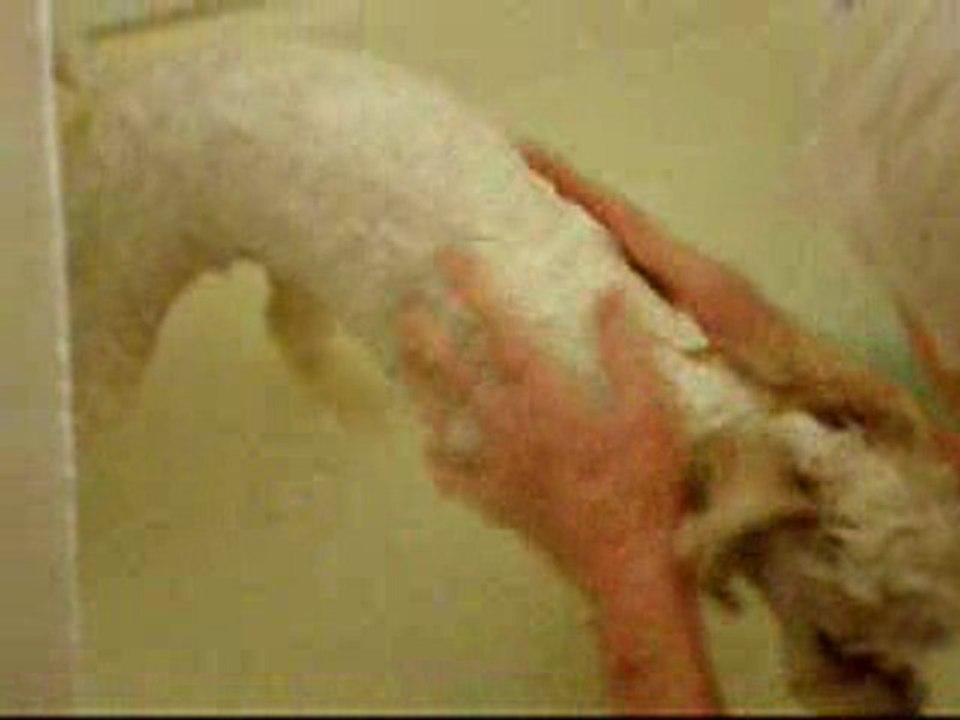 le bain  fevrier  2010