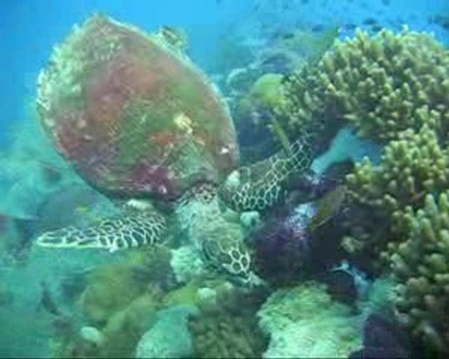 Roadstralie Trip Part 4