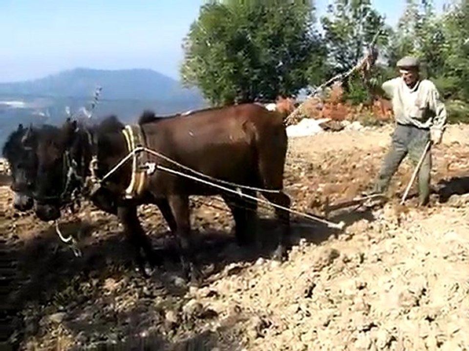 Karasabanla çiftçilik 1