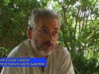 Le Titanic Apicole  Syndrome d'effondrement des abeilles 2