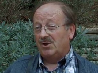 Le Titanic Apicole  Syndrome d'effondrement des abeilles 3