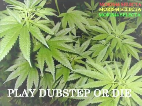 REGGAE DUBSTEP MIX vol. 8 by MORIS44