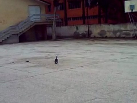 Trex 450 Sport v3 Test Uçuş 3