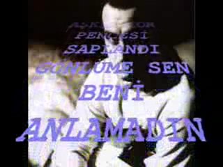 HALUK LEVENT - ANLAMADIN