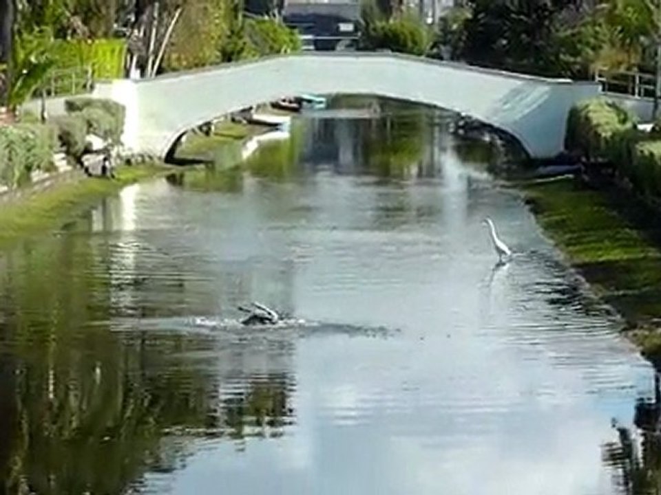 Los Angeles Venice