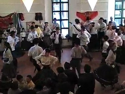 Flores De Lafoes - 14/02/2010 - Vira Da Aldeia