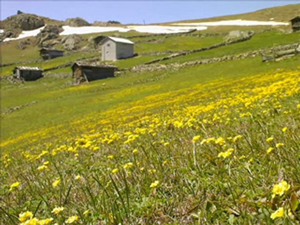 yakup atalay hoşbilezik havası kemençe süper