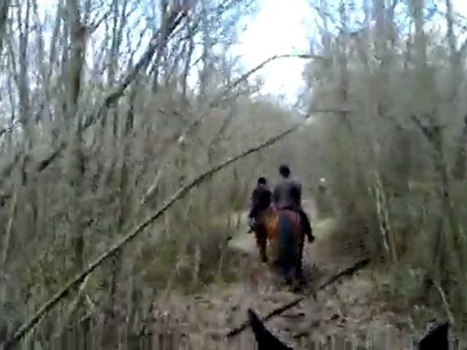 Ballade du 19 fev 2010-01