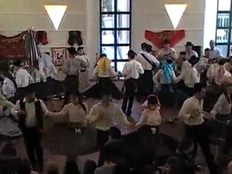 Flores De Lafoes - 14/02/2010 - O Velho