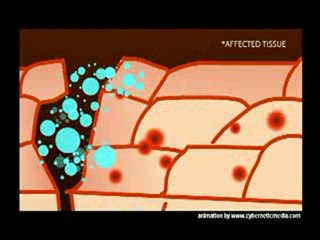 StemEnhance Stem Cells Nutritions