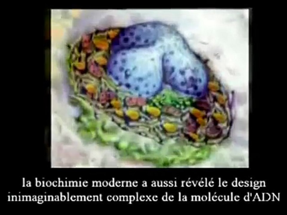 The Signs pt.38 (La Fin du Darwinisme)