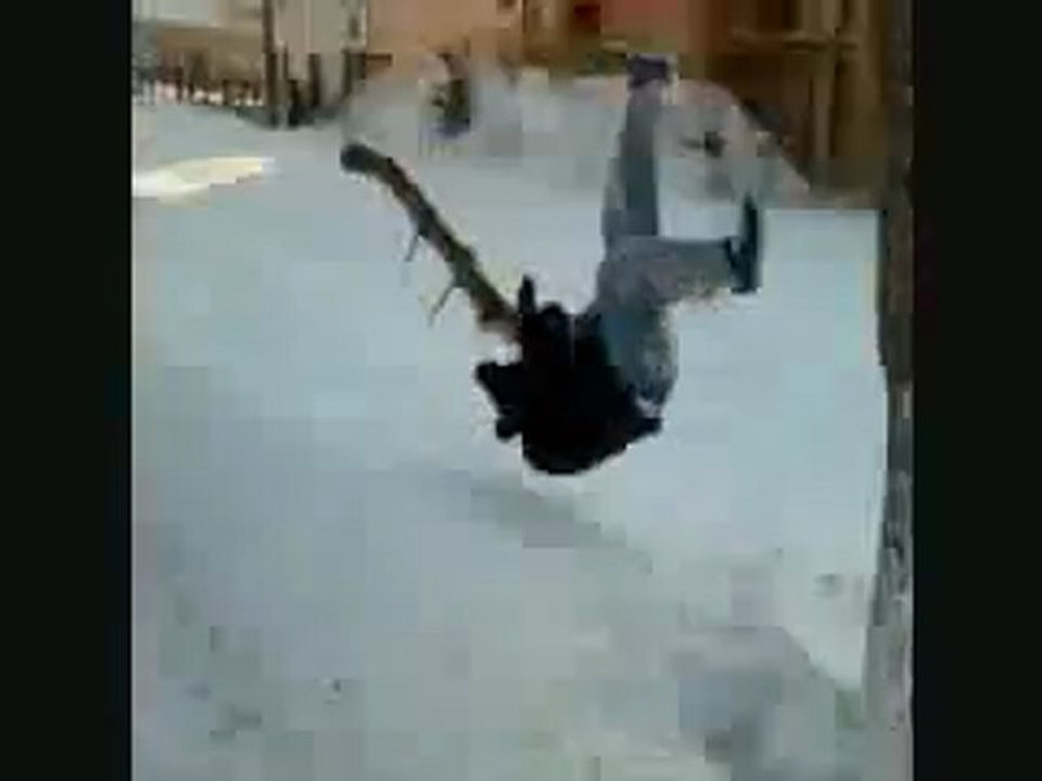 Régis chute d'un arbre