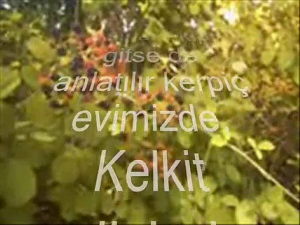 Reşadiye'de Olmak - Şiir