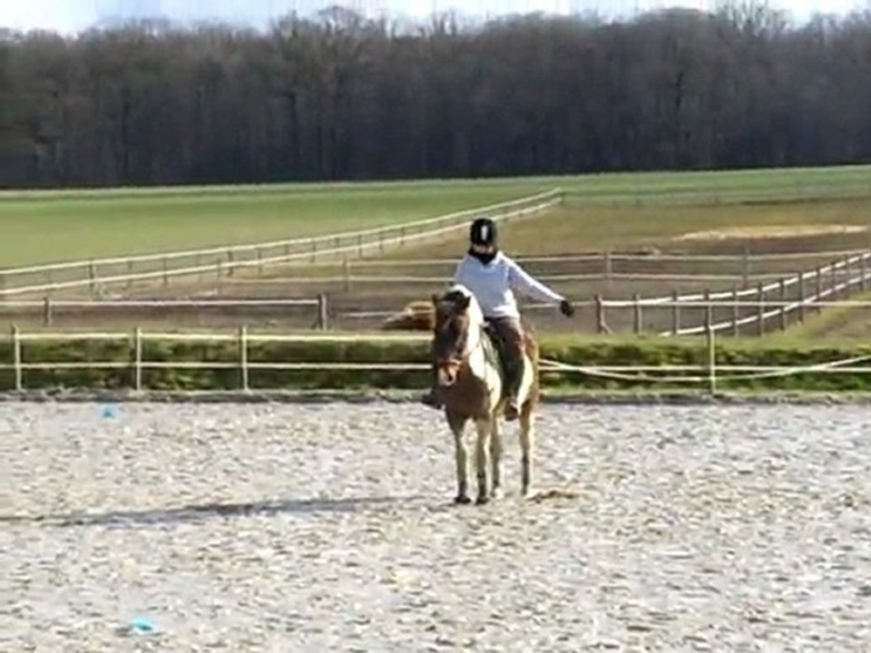 reprise galop3 dressage
