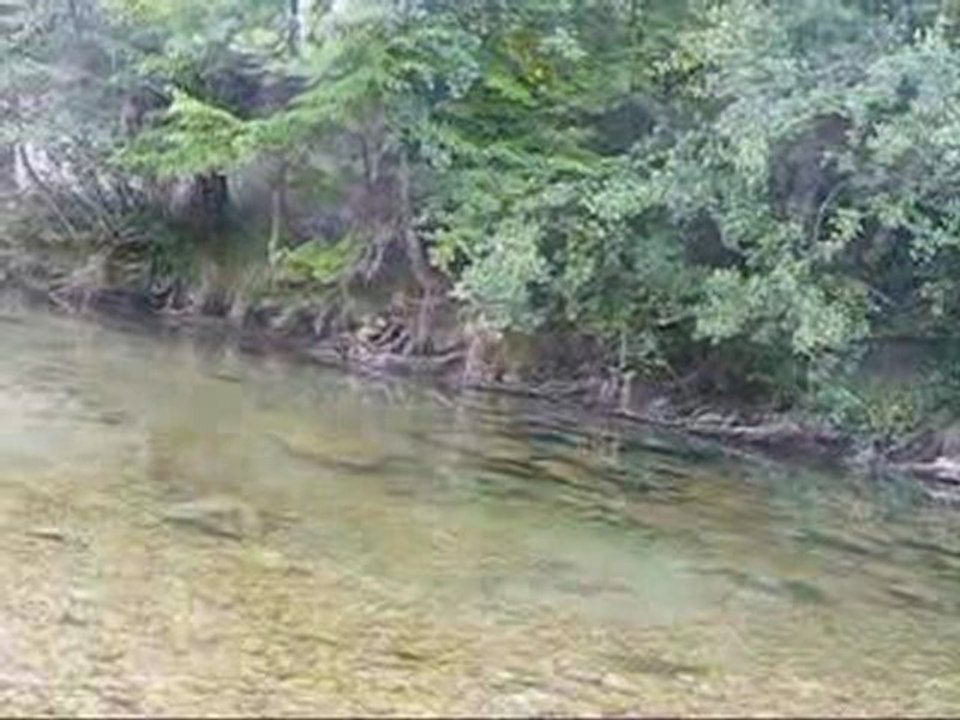 Peche à la Mouche sur le guiers le 3 juillet 2009 en HD