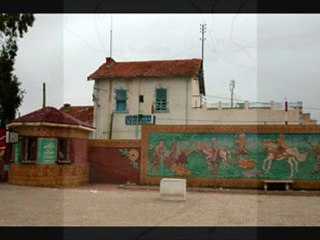 Cheba Jamila et Sedik : Une Collaboration Incontournable 🎶