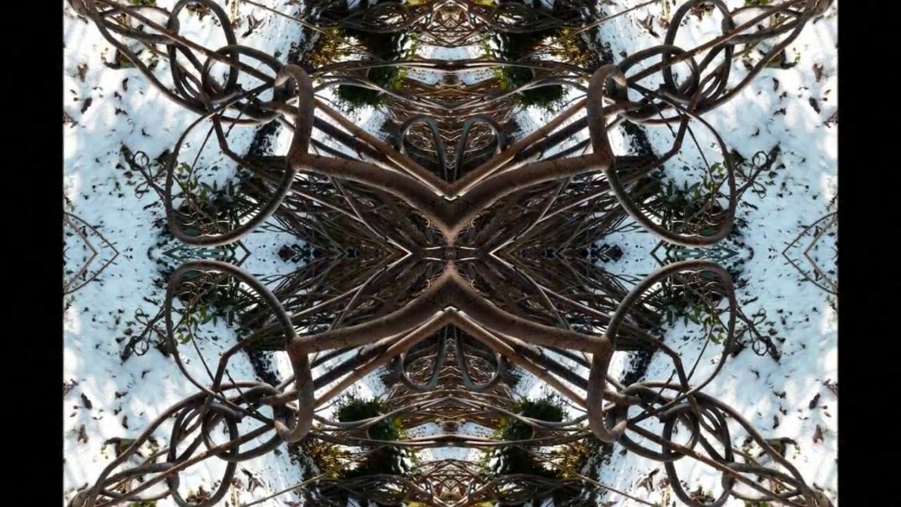 Sculptures-Vivantes en Métamorphoses-colorées-symétriques