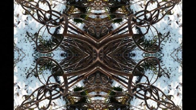 Sculptures-Vivantes en Métamorphoses-colorées-symétriques