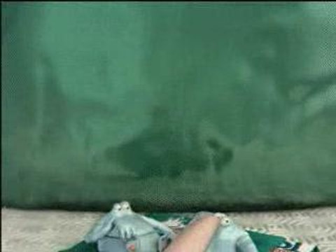 Kiss Cool - C'est Mon Nez