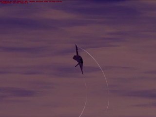 fsx 2010-02-19 18-35-06-85