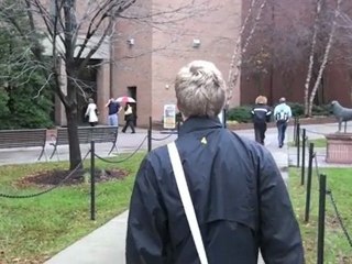 Retriever Reels - British