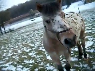 Vacances février 2010