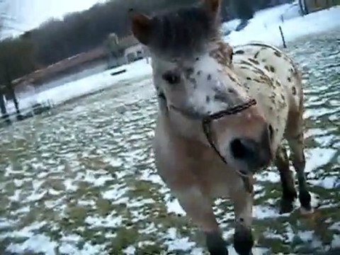 Vacances février 2010