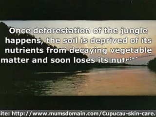 Have You Heard of Cupuacu? No, Neither had I Until...