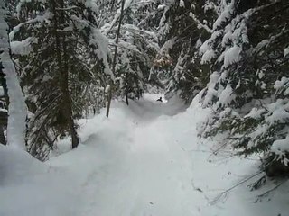 14 02 2010 Luge en foret