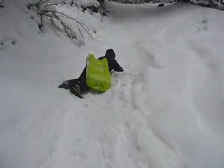 14 02 2010 Luge en foret 3