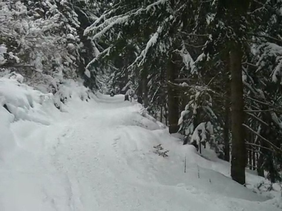 14 02 2010 Luge en foret 4